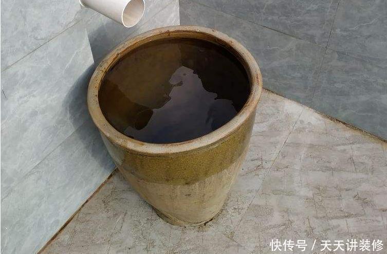 大水缸里面种花,花长得更健壮,养家里就是传家宝!