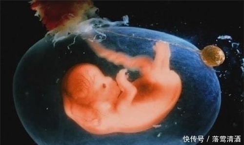 捂脸|胎儿每天在妈妈肚子里干些啥看完这5张图,心都暖化了