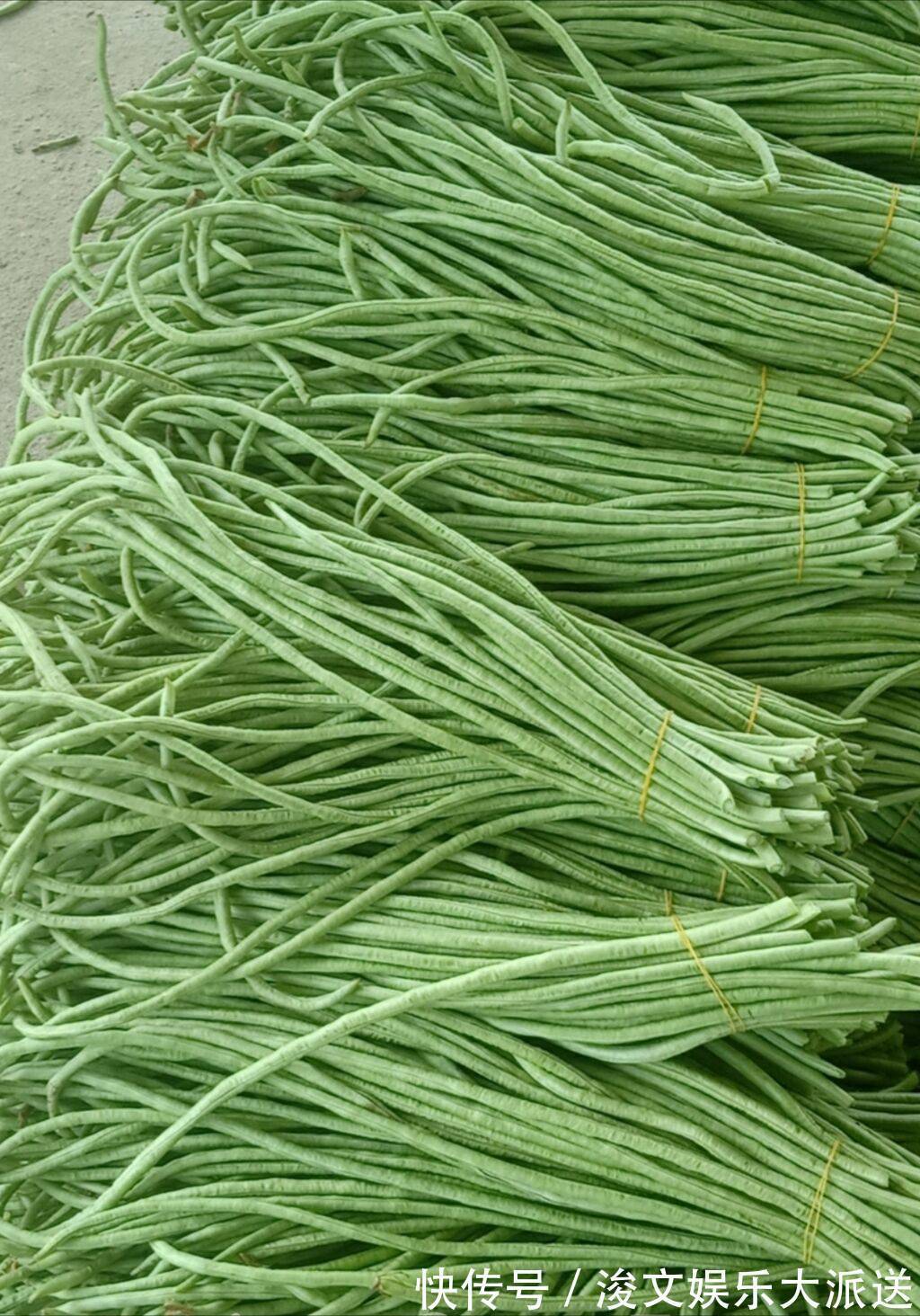 冰箱|夏天,遇到这碱性蔬菜别手软,一次性囤20斤,放冰箱冷冻真省事!