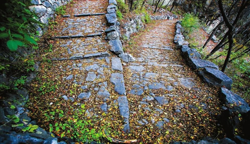  茶马|太行山中的“茶马古道”——白陉