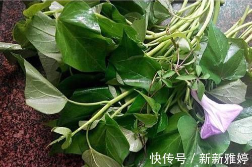 瘦身美容|女性想瘦身美容,多吃以下食物,排出毒素,清脂减肥,增强抵抗力