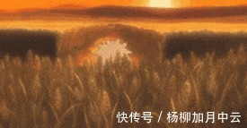 火影忍者|火影忍者,“君麻吕”有影级实力吗