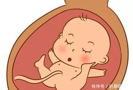 宝宝|当孕妈的肚子鼓起来时, 胎宝宝到底在干嘛