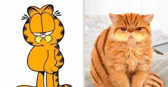 动画片|动画片中的角色,“猫和老鼠”之神的化身,小猪佩奇的化身