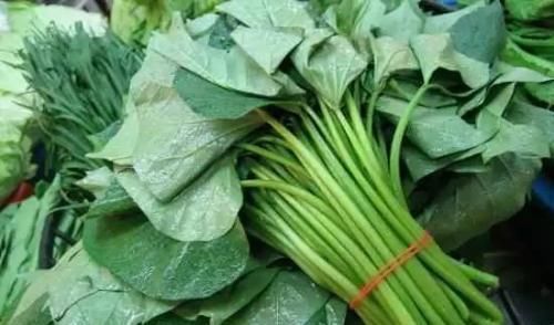 蠶菜蠶菜|女人要學(xué)會(huì)愛(ài)自己,4種野菜,刮油清脂,補(bǔ)充雌激素,美容抗衰老