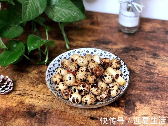 鸡蛋|它是动物中的人参，是零食又是菜，营养不输鸡蛋，我家隔三差五吃