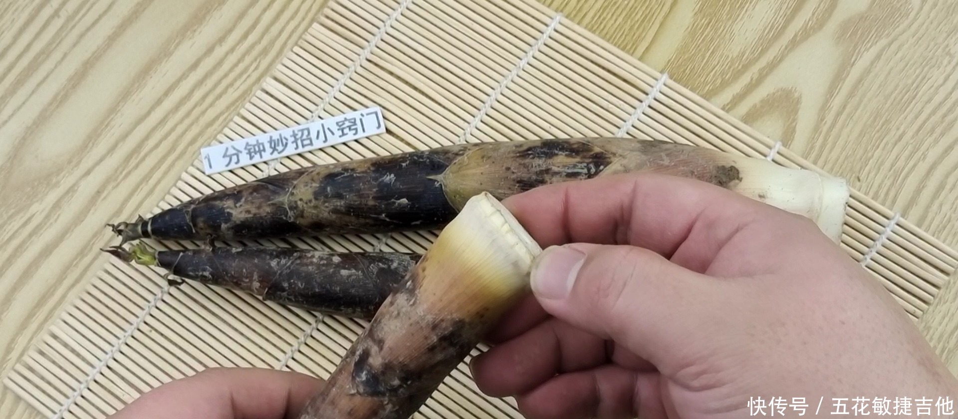 家里种的竹笋能吃吗 家里种的竹笋能吃吗