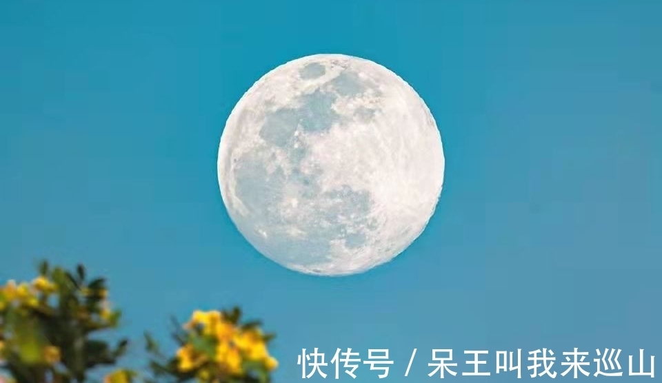 兵临城下#李清照:乱世中的美神,惊艳了千年时光!