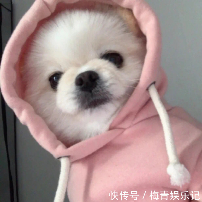 |十条笑话:受益人是我儿子,你就别指望了!