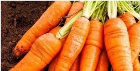 堵塞|胡萝卜和此物一起煮，失眠好了，视力好了，血管再也不会堵塞了