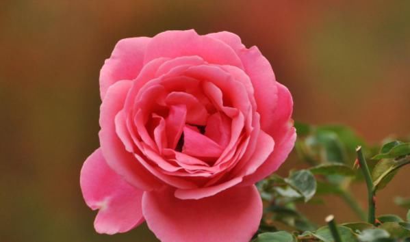 技巧#俗话说:言多必失,教你4招说话技巧,从此老实人“圆滑”处世!