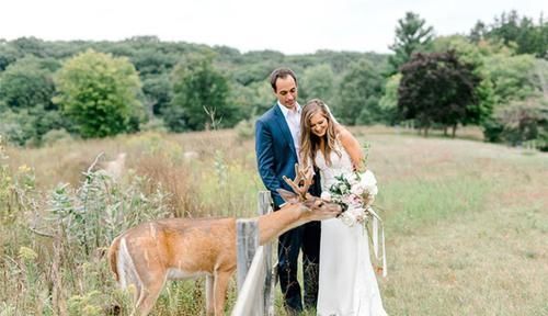 小鹿闯入婚纱照拍摄现场，抢夺新娘手中玫瑰，多么美妙的惊喜！