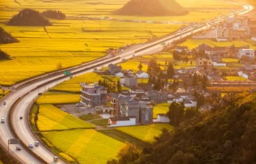 云南最大的油菜花海，规模达80万亩，如今正值观赏时！