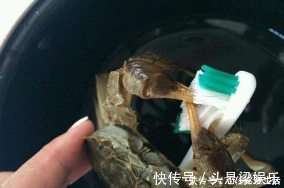 蒸螃蟹有讲究,冷水热水差别大,很多人不懂,怪不得蟹黄不肥