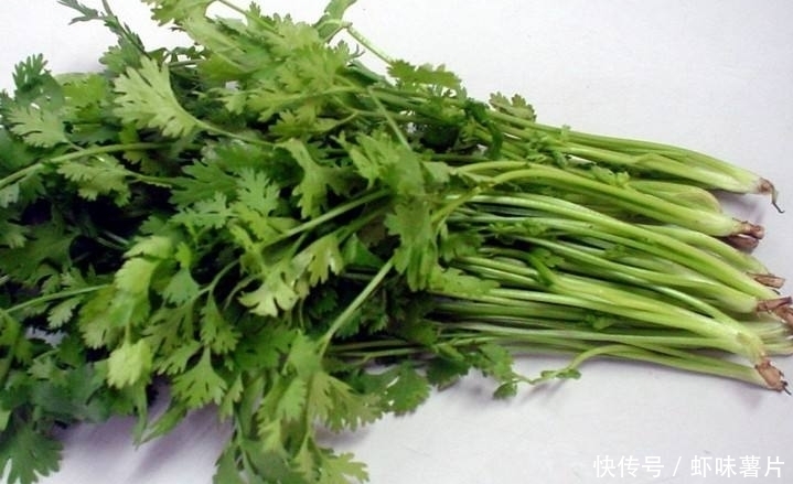 香菜煮水好处多多,但是喝时需注意这几个禁忌,快点看看吧