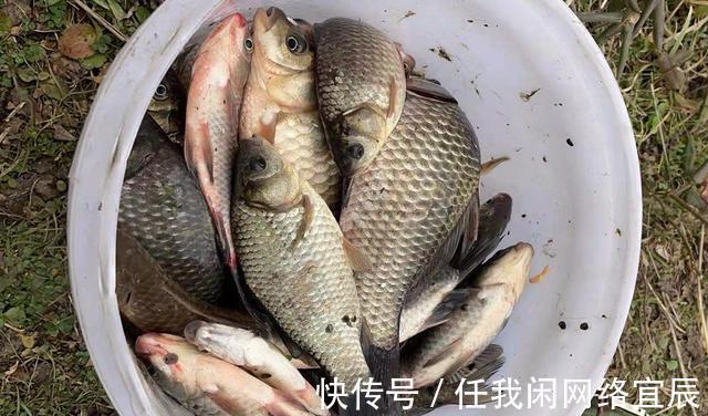 冬天钓鱼，空军天气多，爆护天气少，这3种天气不要出钓！