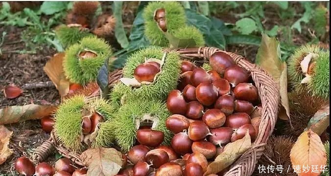 a198|快收藏!安康这5条精品线路+美食美景带你玩转安康!