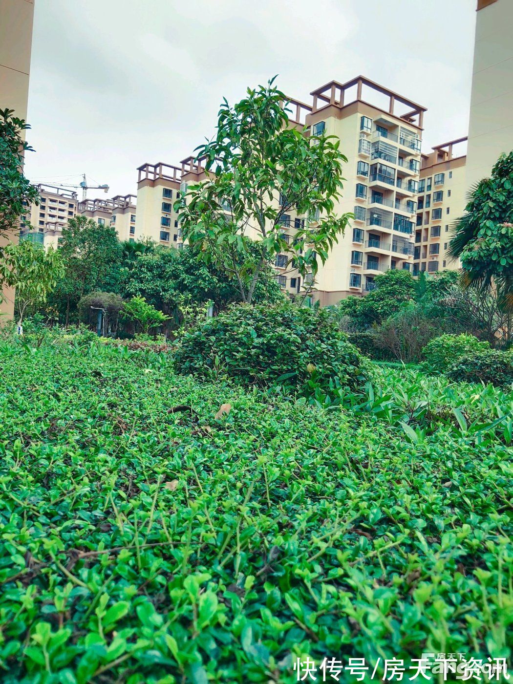 合浦|新鲜出炉！帮你搜集北海合浦县楼盘现场的最新美图