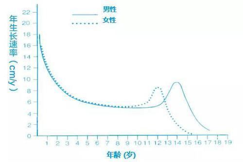 孩子|夏季是孩子长个的好时机，家长一定要做好这些“长高前的准备”