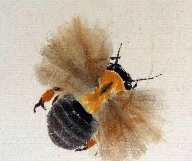 草虫@齐白石画的小虫子,放大5倍以上欣赏,翅膀上的脉络真实细腻!