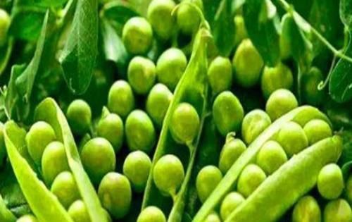 营养物质|想长寿全靠吃,以下食物多吃点,养肝补血,强健血管,利于健康