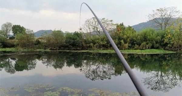 钓鱼必杀技久坐无鱼咬钩，试试这些狠招数，咬钩量翻几倍