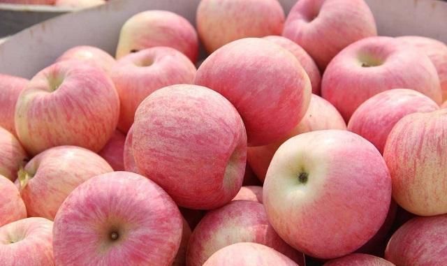 沫沫|怀孕两个月腹痛,被诊为“先兆流产”,医生这3种水果孕妈少吃