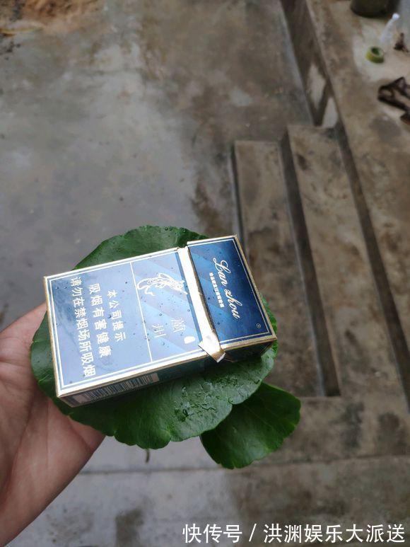 爆盆|夏天里的“暴发户”，养盆铜钱草，天天爆盆，里里外外全是“钱”