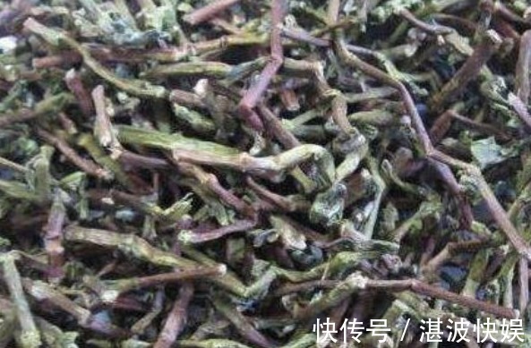 野草|被人称为“长寿草”的野草,食用可排出体内垃圾,强健身体