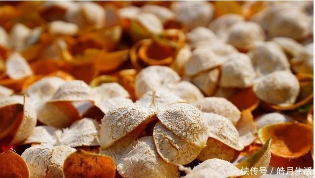 健脾祛湿|一两茯苓一两金，茯苓和它“很般配”，有助健脾祛湿，告别大肚腩