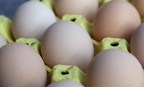 储存|今天才知道,储存鸡蛋这么简单,牢记4点小窍门,3个月新鲜不散黄