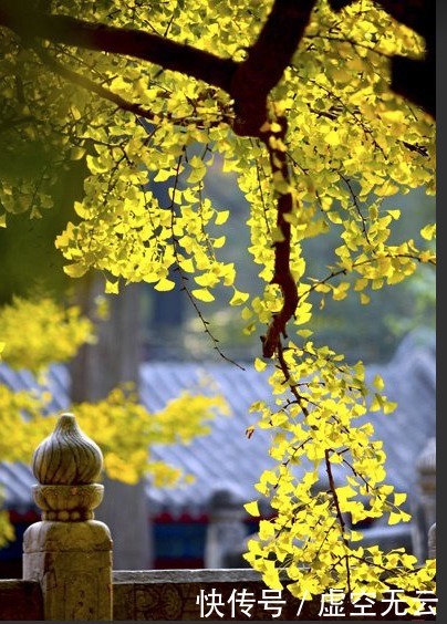 上乘|五祖弘忍大师——最上乘论