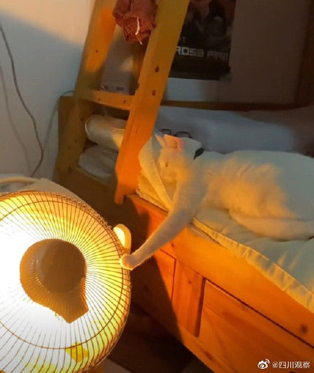 那些治愈人心的画面！包子店阿姨阳光里开心弹琴