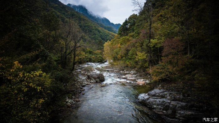 自然保护区|开着大唐去旅行——穿越太洋公路，赏黄柏塬醉美秋色（中篇）