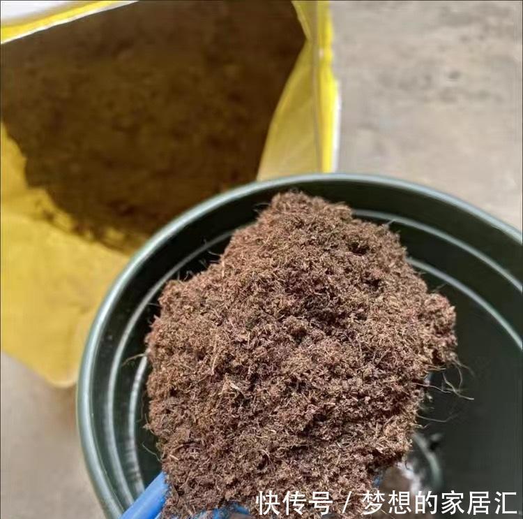 多肉|养多肉的“通用配土”，不要乱花钱了，买这2样土，养多肉足够