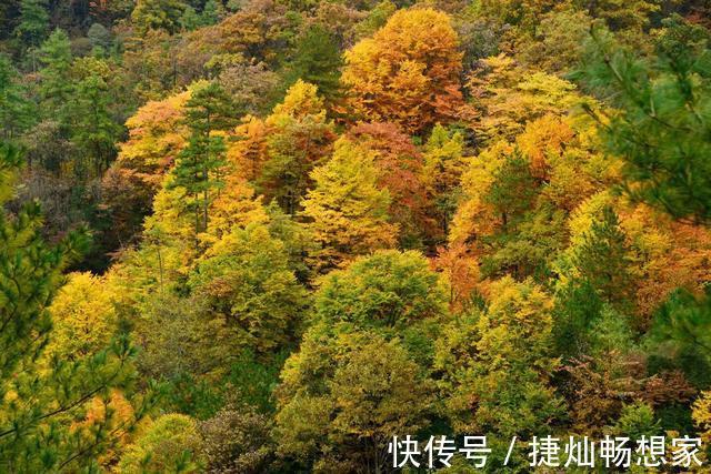 秋天|秋意正浓打卡李家，红叶不仅层林尽染，还是旅行达人的拍照最佳地