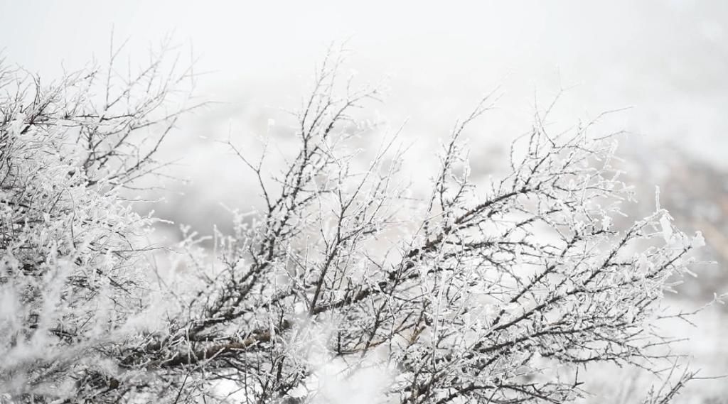 美景|永顺：羊峰山雪后雾凇美景 仿佛置身冰雪童话世界