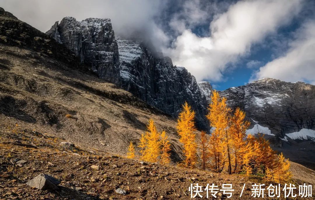 底线|生性善良，但原则性强的生肖，坚守底线，总让人胆寒