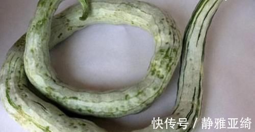 维生素b1|生活中常见的3种食物,女性常吃,排毒养颜、滋养子宫