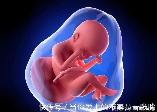 羊水|胎儿大小可能和这些因素有关，孕妈最好别只是控制体重，早知早好