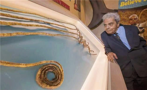 手指甲!印度老人将留了66年的指甲剪下,封存博物馆后,手指却产生新变化