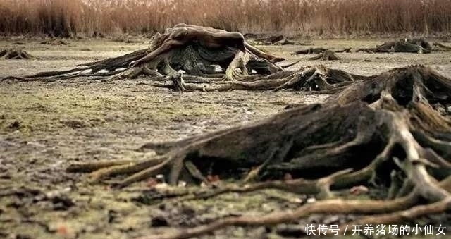 少女|18张图都隐藏着少女,找出6个正常,9个聪明,14个以上天才