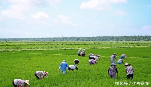煮饭|他用50年,做出一碗让人幸福感爆棚的白米饭!