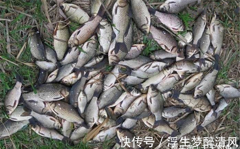 冬季钓鱼，被忽视的“轻与重”和“大与小”，这是连竿上鱼的关键