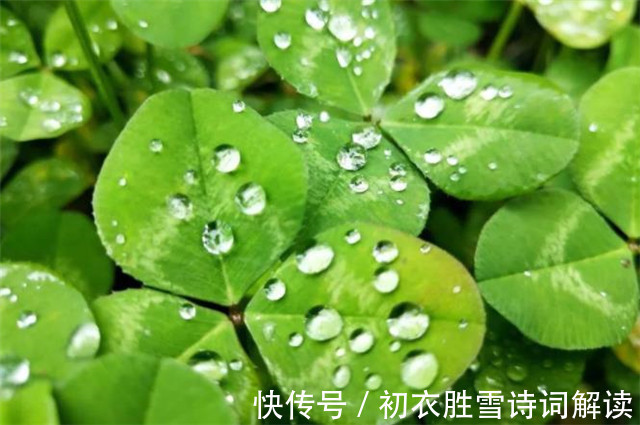 白露|宋人丘葵的白露诗,一岁露从今夜白,借用杜甫名句,却更苍茫沉痛