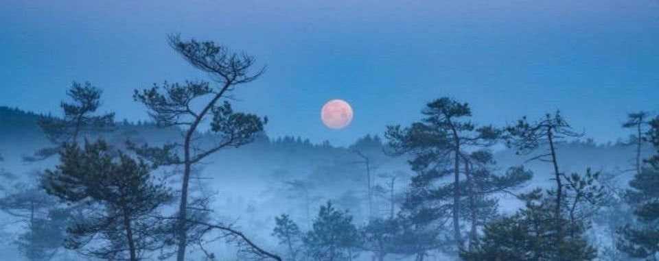 禅理&杨万里充满禅理的一首诗,给人一种大彻大悟之感,读懂了受益终生