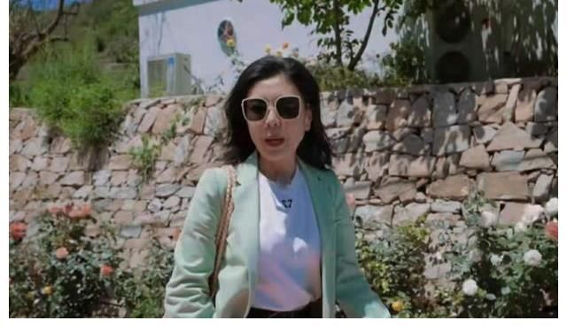 李雪琴|《桃花塢》節目組太高明，正面洗白650餐費，可關鍵是誰信啊？