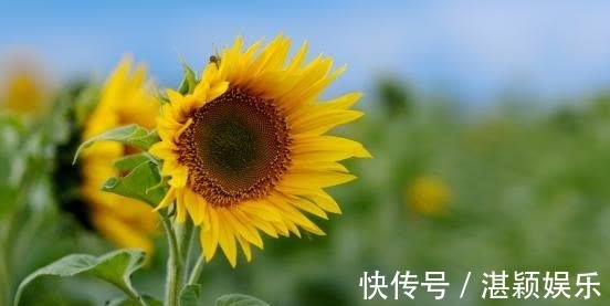 射手|5天后，桃花乍现，重拾情缘，旧情复燃，痴心不变，再结琴瑟之好