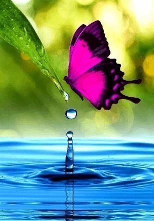 人心$良言20句,见证人心,看透人性看一次胜读十年书