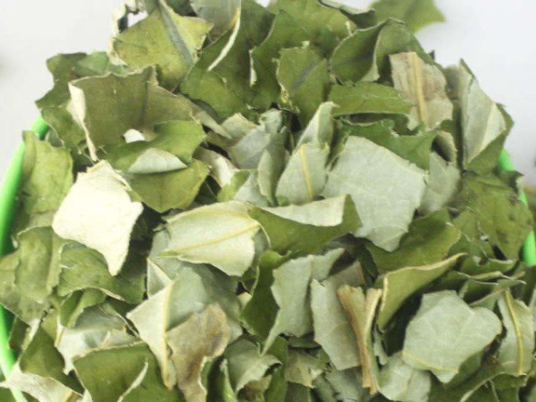 祛湿|荷叶减肥是事实，不过荷叶和“它”搭配效果翻倍，还能祛湿消肿！